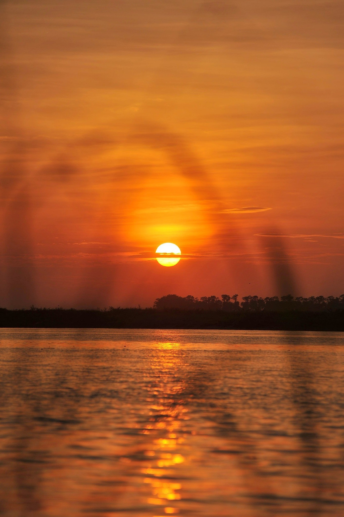 Du khách có thể mang theo đồ uống, ngồi bên bờ sông hóng gió, trò chuyện cùng bạn bè và tận hưởng nhịp sống chậm rãi hiếm hoi giữa lòng Hà Nội náo nhiệt.