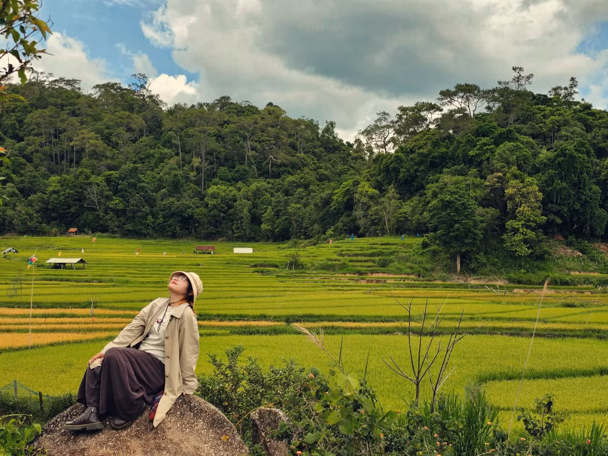 Ẩm thực cũng là một phần không thể thiếu trong hành trình. Những món ăn dân dã như gà nướng lá mắc mật, cá suối nướng đá, măng rừng xào muối ớt hay cơm lam ống nứa đều mang đậm hương vị Tây Nguyên. Đặc biệt, rượu cần làm từ nếp Kon Vơng vừa thơm vừa cay nhẹ, uống chậm sẽ cảm nhận được vị nồng đượm lan trong cổ họng. Ảnh Hoàng Thi Nguyễn