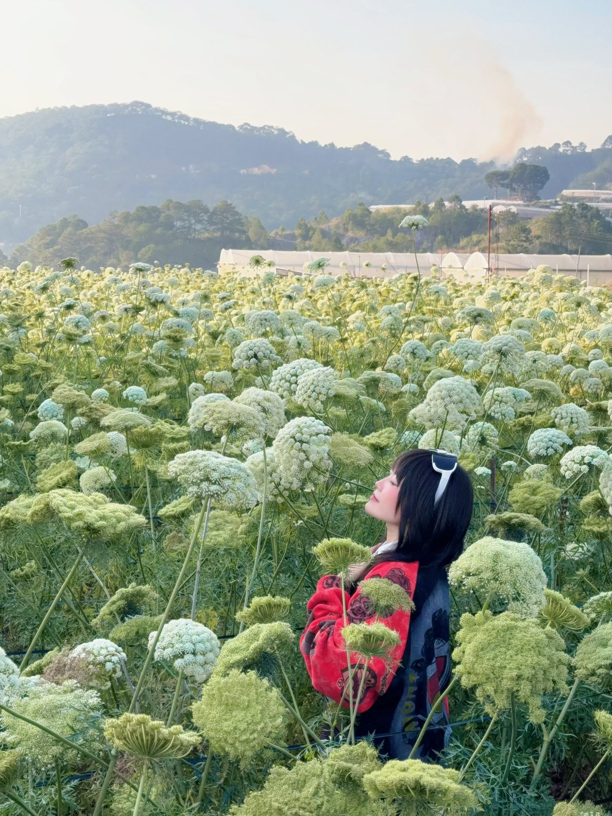 Không ít bạn trẻ, nhiếp ảnh gia và du khách đã tìm đến đây để lưu giữ những khoảnh khắc đời thường mà giàu cảm xúc. Ảnh Thiên Thanh