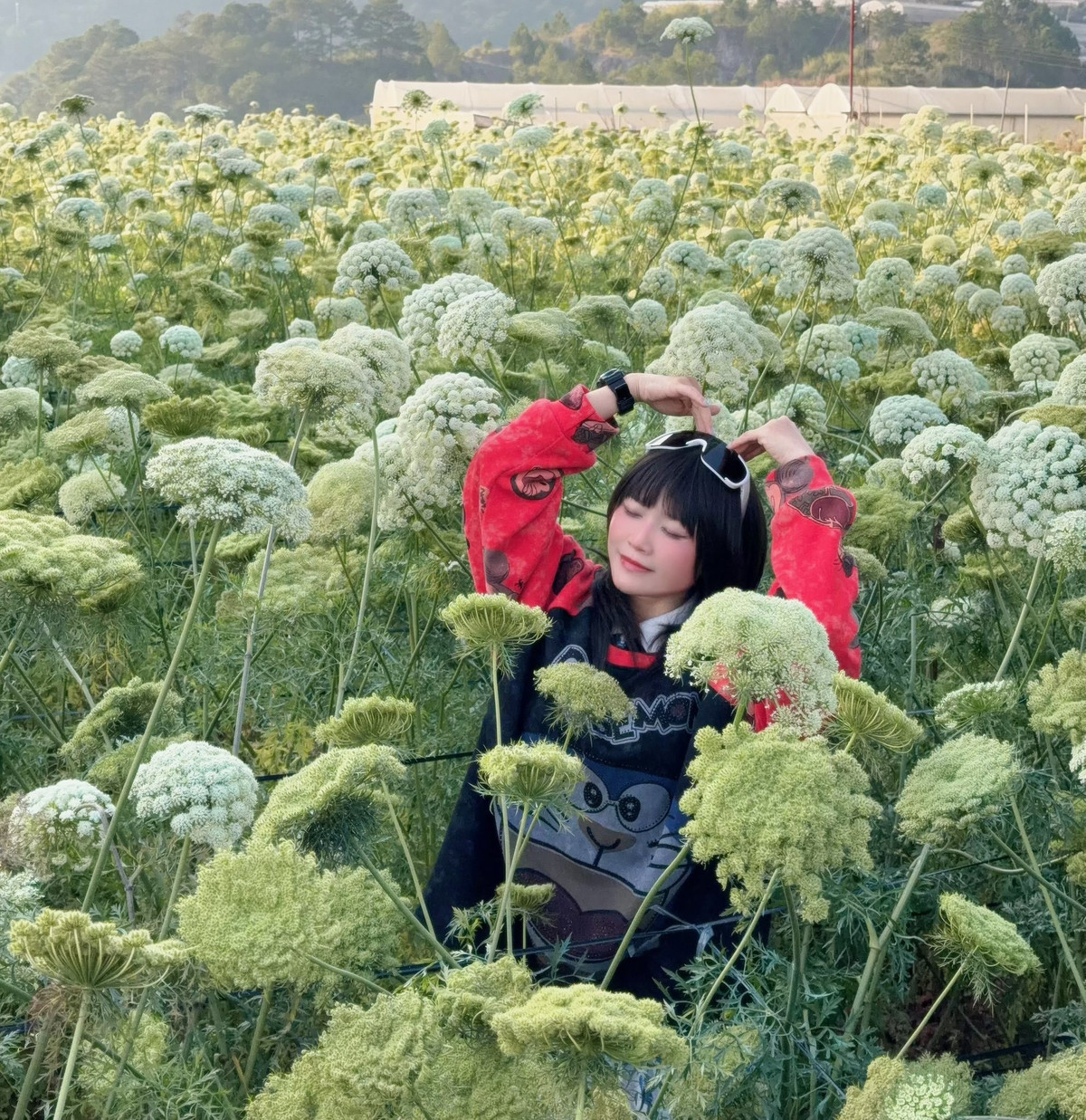 Vẻ đẹp của hoa cà rốt không phô trương, cũng không cầu kỳ. Chính sự giản dị, mộc mạc ấy lại khiến nhiều du khách bất ngờ và thích thú. Giữa không gian nông nghiệp thuần khiết, những luống hoa trắng nhạt hòa cùng màu xanh của lá, màu nâu đỏ của đất, tạo nên một bức tranh hài hòa, mang đậm hơi thở đời sống của người dân trồng rau trên cao nguyên. Ảnh Thiên Thanh