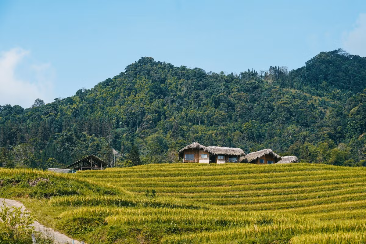 Trong khi đó, đi tự túc mang lại sự linh hoạt, chủ động chọn điểm dừng chân, góc chụp và trải nghiệm riêng, nhưng đòi hỏi tìm hiểu kỹ lưỡng về đường đi, phương tiện di chuyển, nơi lưu trú và điều kiện thời tiết. Ảnh Win Đi