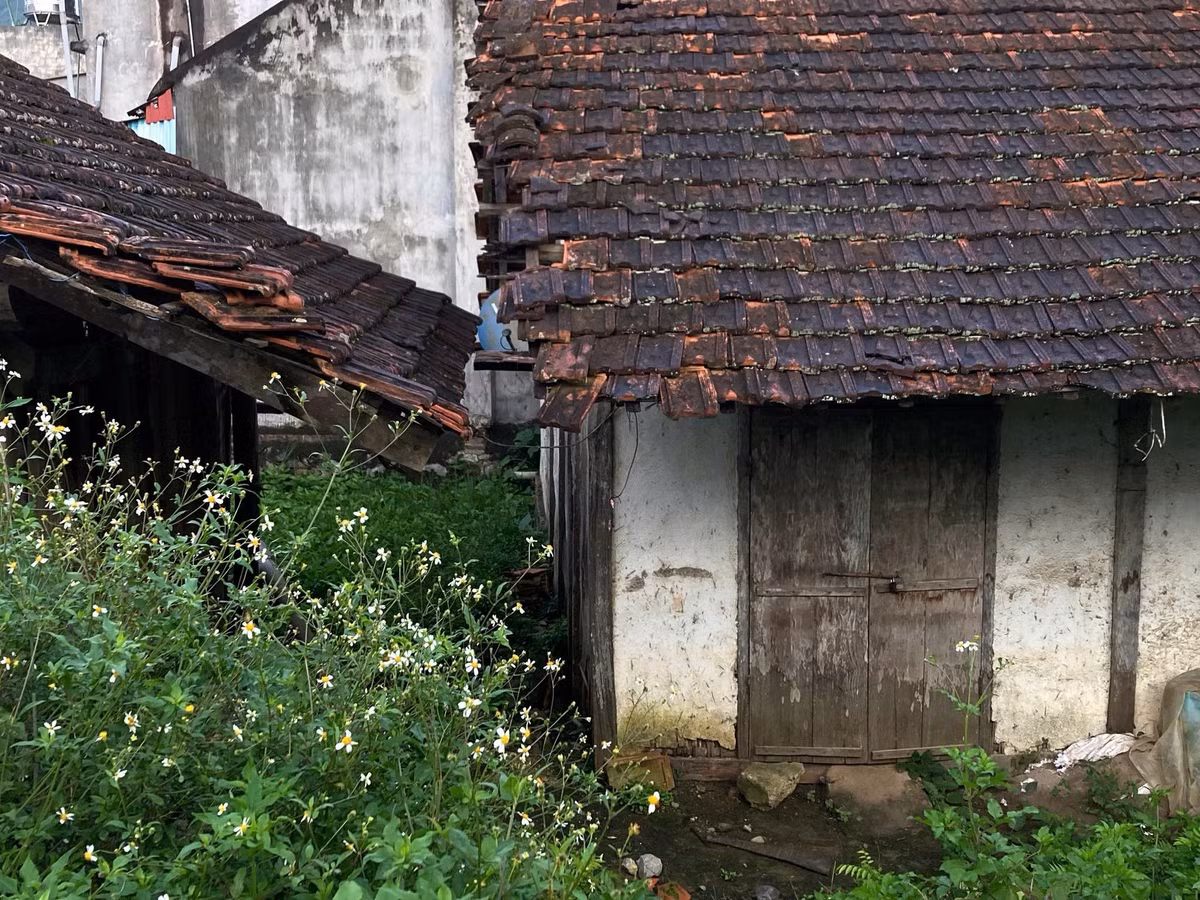 Các hoạt động trải nghiệm nhẹ nhàng nhưng đáng nhớ gồm hiking quanh bản, khám phá nghề làm ngói âm dương, leo núi Nà Lay ngắm thung lũng từ trên cao, tham quan bảo tàng Bắc Sơn. Ảnh Le Thanh Hien