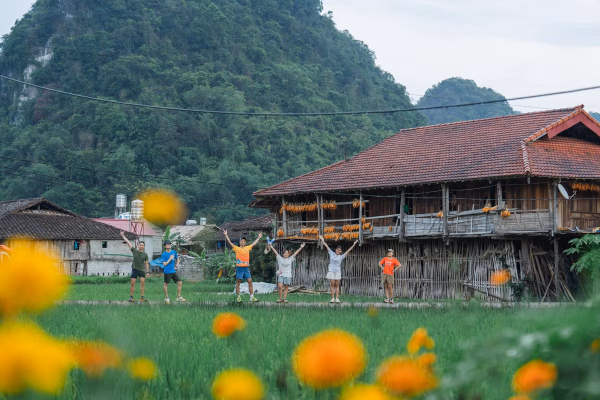 Thời điểm đẹp nhất ghé thăm là từ tháng 7 đến tháng 10, khi thung lũng nhuộm vàng lúa chín. Ngay cả ngoài mùa lúa, Quỳnh Sơn vẫn giữ trọn vẻ yên bình. Du khách có thể đến bằng xe máy, ôtô riêng hoặc limousine từ Hà Nội, với các hãng như Quỳnh Thanh, Hà My, Vân Hà. Ảnh Le Thanh Hien