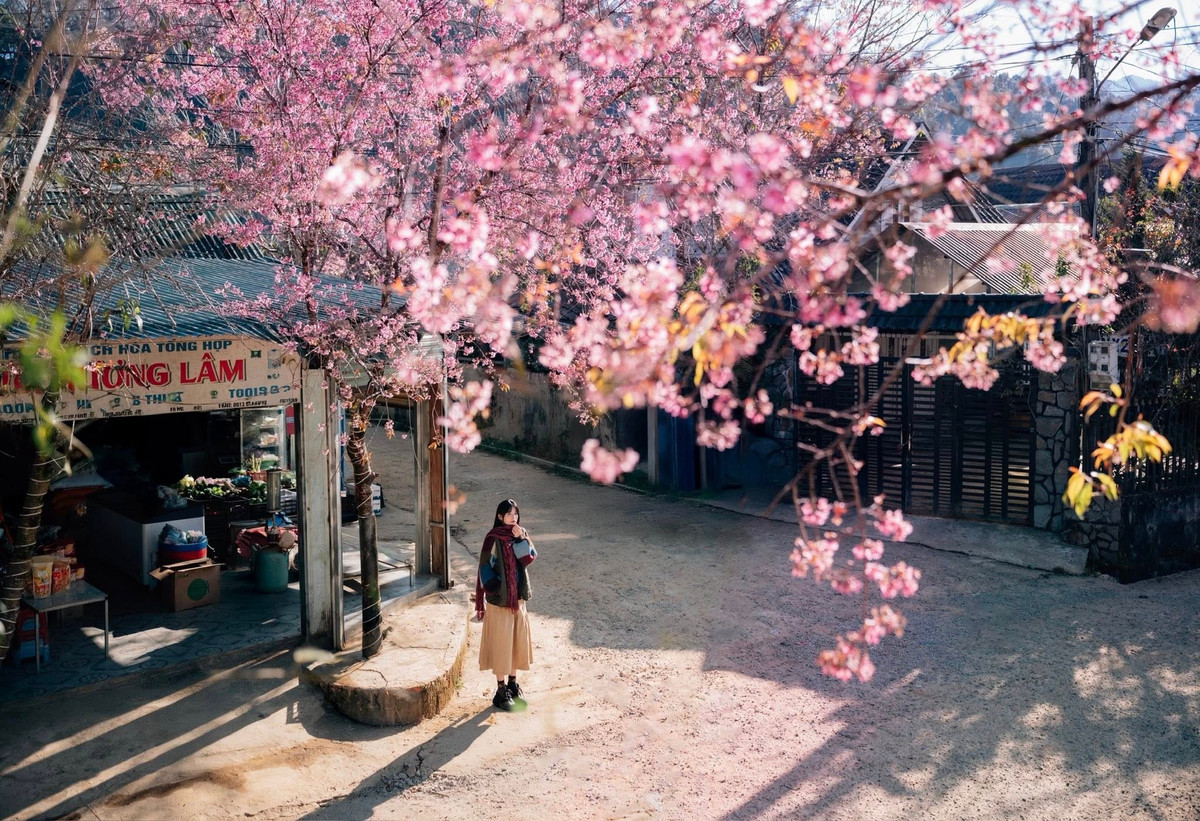Nép mình bên cung đường Quốc lộ 27C nối từ Nha Trang lên Đà Lạt, làng Đưng K’si không ồn ào, náo nhiệt như trung tâm phố núi. Thay vào đó là vẻ yên bình mộc mạc của những nếp nhà sàn, những con đường đất đỏ uốn lượn giữa núi rừng và sắc hoa bung nở trải dài khắp buôn làng. Ảnh Đồng Ngô