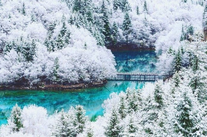 Nên ưu tiên tour bay thẳng đến Thành Đô để tiết kiệm thời gian và kiểm tra kỹ chi phí đã bao gồm vé thắng cảnh Hoàng Long, cáp treo hay chưa, vì đây là khoản phụ phí đáng kể. Ảnh KimLienTravel