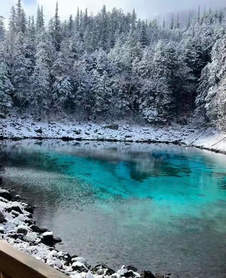 Nhiều du khách Việt chọn đến Cửu Trại Câu mùa đông để tận hưởng cảm giác hiếm có: tản bộ giữa rừng tuyết, nhâm nhi trà nóng bên bếp lửa, hay lưu lại khoảnh khắc check-in giữa khung cảnh băng tuyết lung linh như trong phim cổ trang. Ảnh Trang Lê