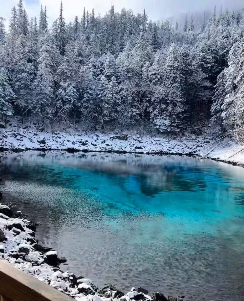 Nhiều du khách Việt chọn đến Cửu Trại Câu mùa đông để tận hưởng cảm giác hiếm có: tản bộ giữa rừng tuyết, nhâm nhi trà nóng bên bếp lửa, hay lưu lại khoảnh khắc check-in giữa khung cảnh băng tuyết lung linh như trong phim cổ trang. Ảnh Trang Lê