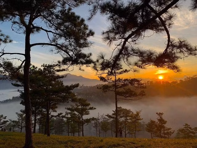 Khi chiều xuống, ánh sáng vàng của hoàng hôn chiếu xuyên qua các cây thông, tạo nên một khung cảnh tuyệt vời. Tuy đường đi có phần khó khăn, nhưng với những ai yêu thích khám phá và tìm kiếm những trải nghiệm mới mẻ, đồi Đa Phú chính là một lựa chọn không thể bỏ qua. Ảnh Phượt Hot