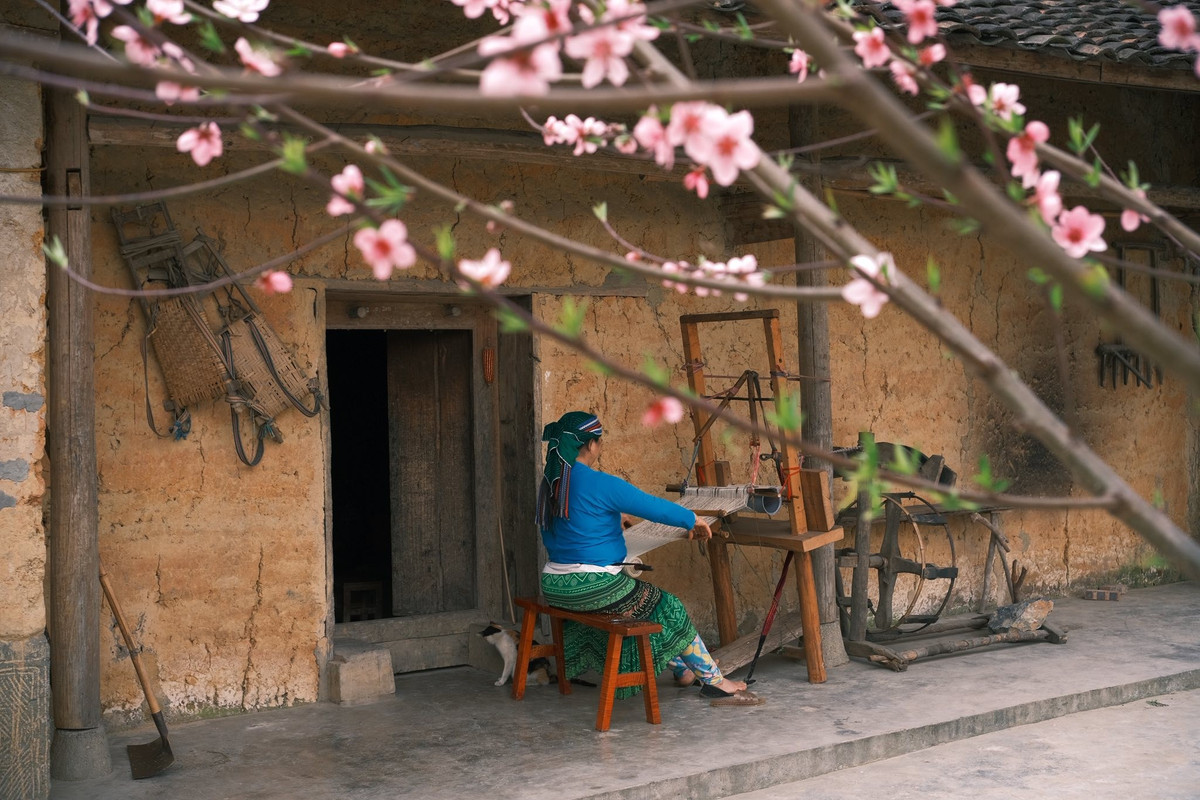 Với cảnh sắc thơ mộng, văn hóa đặc trưng và nhịp sống chậm rãi, Lao Xa đang dần trở thành điểm hẹn mùa xuân dành cho những người yêu vẻ đẹp nguyên sơ của vùng cao phía Bắc.