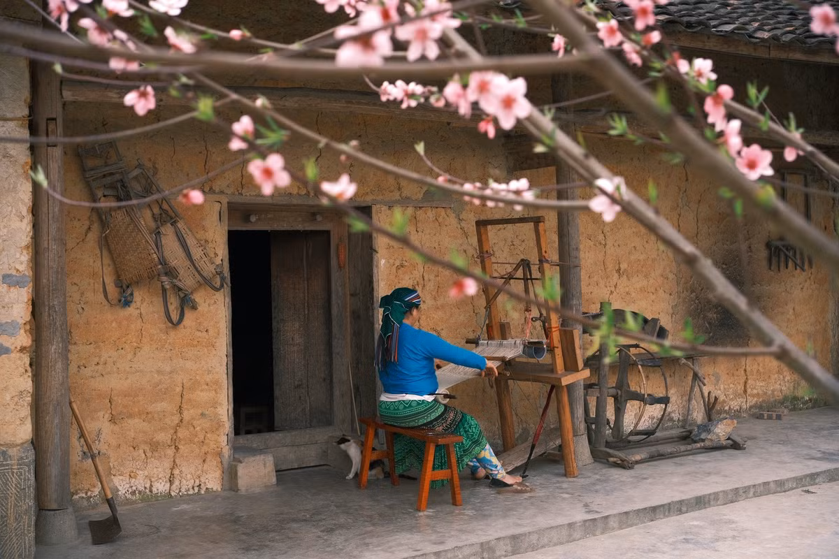 Với cảnh sắc thơ mộng, văn hóa đặc trưng và nhịp sống chậm rãi, Lao Xa đang dần trở thành điểm hẹn mùa xuân dành cho những người yêu vẻ đẹp nguyên sơ của vùng cao phía Bắc.