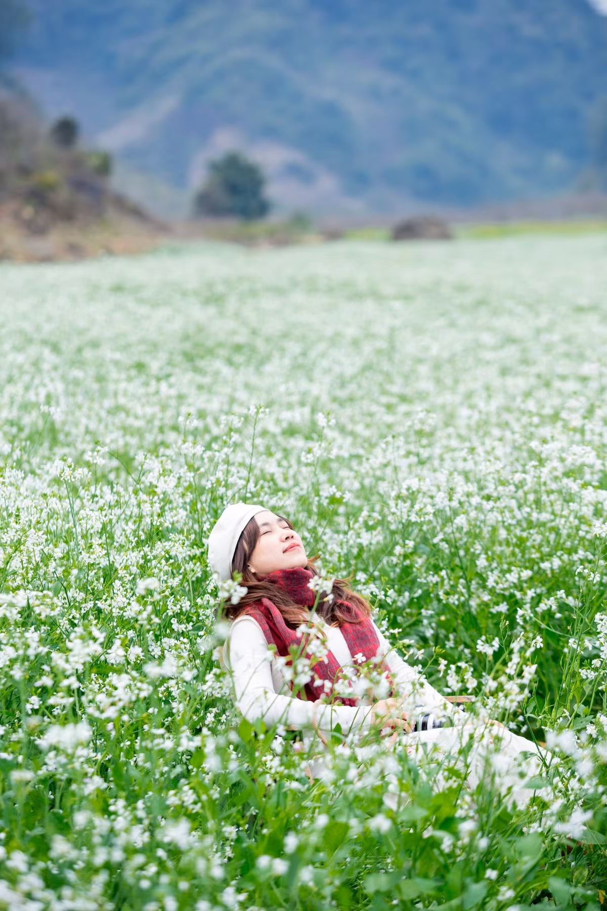 Mùa hoa cải thường kéo dài chưa đầy hai tháng, vì vậy du khách muốn có những bức ảnh ưng ý nên sắp xếp lịch trình sớm. Theo kinh nghiệm của nhiều nhiếp ảnh gia, buổi sáng từ 8h đến 10h và buổi chiều từ 14h đến 16h là thời điểm ánh sáng đẹp nhất. Nếu muốn nổi bật giữa sắc trắng, du khách nên chọn trang phục màu pastel, be hoặc nâu nhạt – vừa hài hòa với cảnh vật, vừa dễ tạo nên những bức ảnh giàu cảm xúc. Ảnh Ba đứa mình