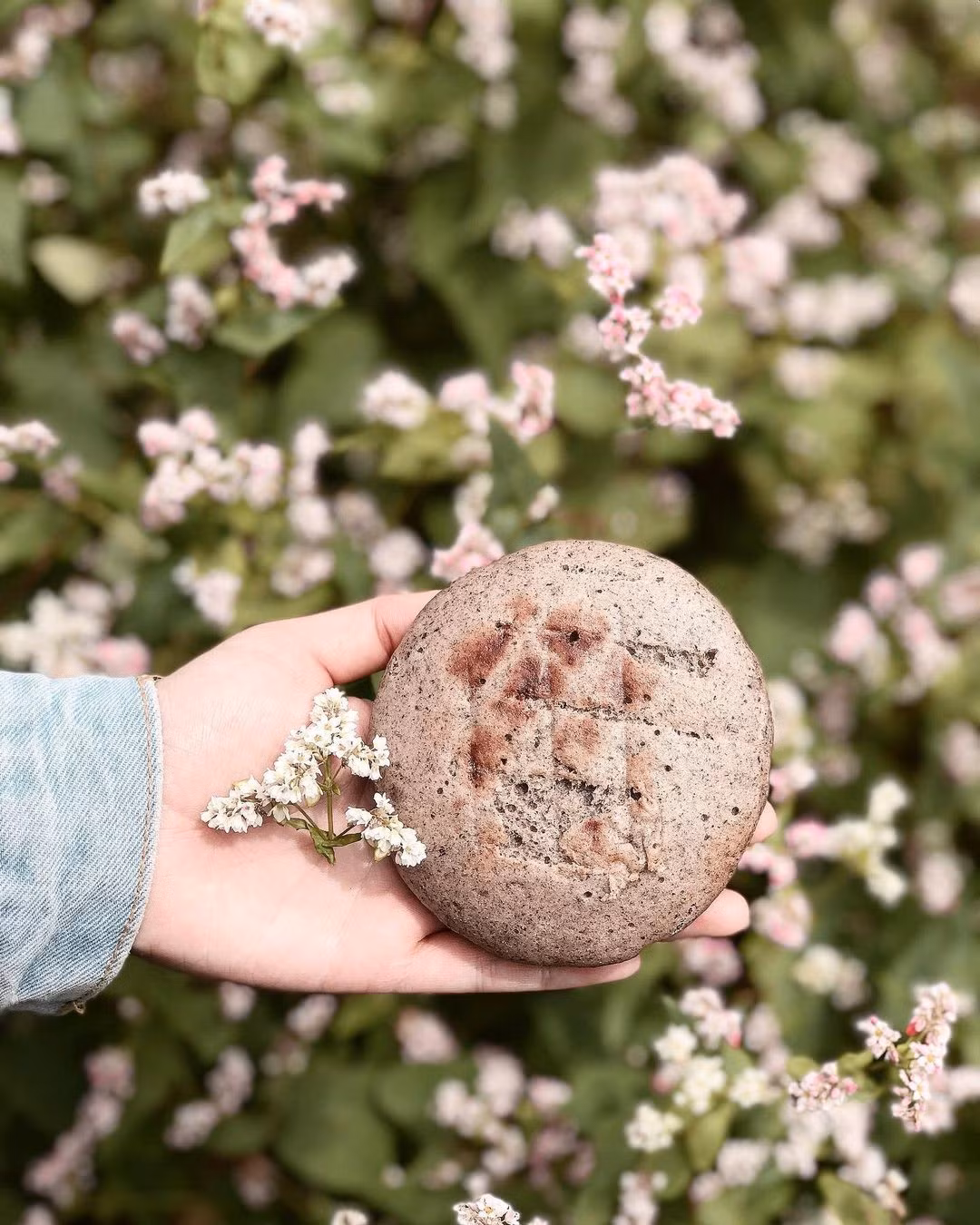 Bột sau khi xay được nhào với nước theo tỉ lệ bí quyết, tạo thành khối bột dẻo thơm, rồi nặn thành chiếc bánh to bằng cả bàn tay, dày 2–3cm. Bánh được hấp trước để giữ độ ẩm, sau đó nướng trên bếp than hồng – nơi hương thơm núi rừng thật sự “thức giấc”. Ảnh Minh Thu