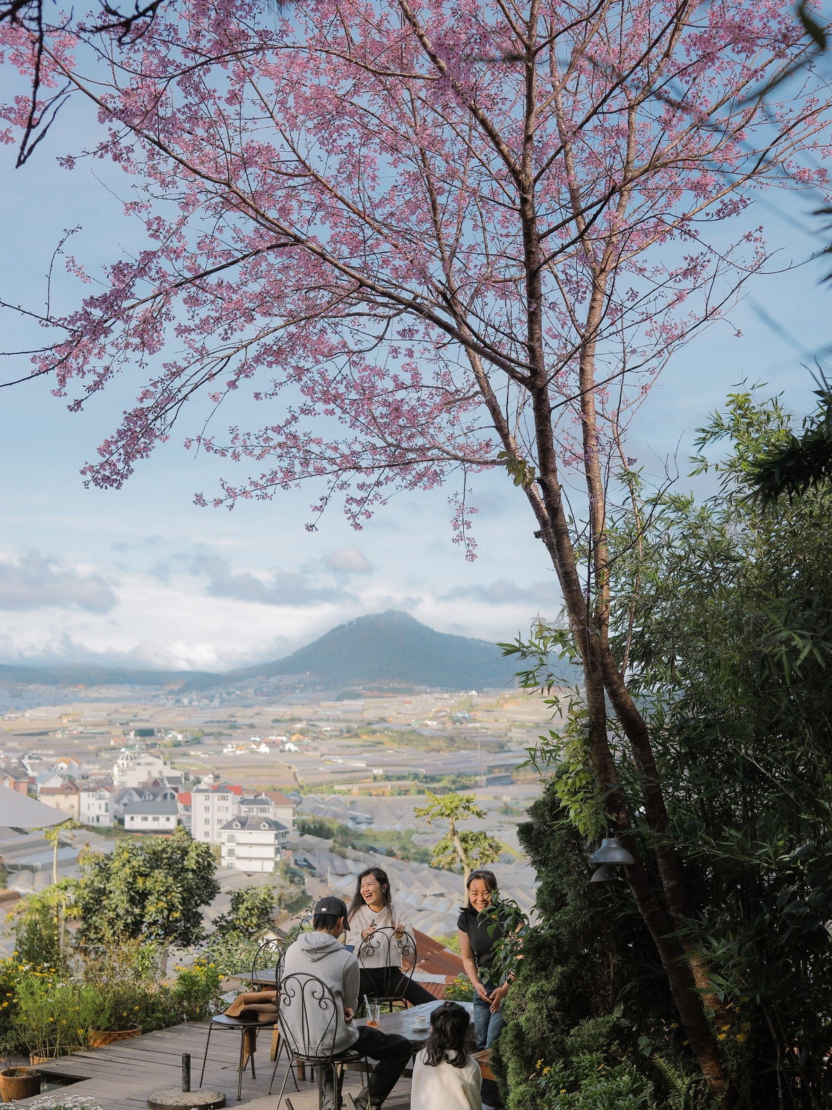 Bên cạnh các không gian ngoài trời, nhiều quán cà phê tại Đà Lạt cũng trở thành điểm hẹn ngắm mai anh đào dịp đầu năm. Những quán mang phong cách mộc mạc, gần gũi với thiên nhiên, có mai anh đào nở rộ trong khuôn viên, cho phép du khách vừa nhâm nhi cà phê nóng, vừa ngắm hoa trong tiết trời se lạnh. Một số quán nằm sâu trong các con hẻm nhỏ, không gian yên tĩnh, mai anh đào thường nở muộn hơn so với khu vực ngoại ô, phù hợp với những du khách đến Đà Lạt vào cuối mùa hoa.