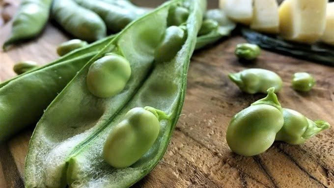 Đậu tằm là nguồn cung cấp kali và magie tự nhiên – hai khoáng chất giúp hỗ trợ giãn mạch, điều hòa huyết áp và giảm áp lực lên hệ tim mạch. Khi được bổ sung hợp lý trong khẩu phần ăn, đậu tằm có thể góp phần giảm nguy cơ tăng huyết áp và các bệnh lý tim mạch thường gặp. Bên cạnh đó, lượng chất xơ dồi dào trong đậu tằm cũng giúp hạn chế hấp thu cholesterol xấu, từ đó hỗ trợ bảo vệ mạch máu và tim về lâu dài. Ảnh minh họa