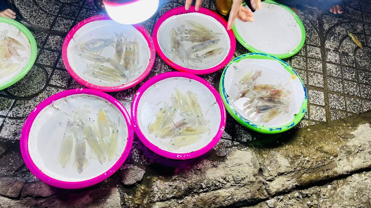 Không cân, không bảng giá niêm yết, việc mua bán ở đây diễn ra theo cách rất “đời”. Mực được chia thành từng mớ nhỏ, mỗi mớ khoảng 5–10 con, đặt trong những chiếc bát kim loại. Ảnh Nghệ An News