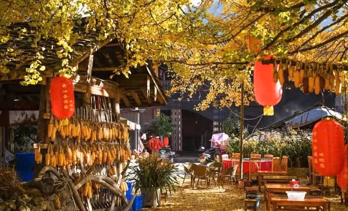 Những sân nhà lát đá ong nâu, ngôi nhà gỗ giản dị nhưng sạch sẽ, tạo cảm giác ấm cúng. Phòng nghỉ có giá từ 350 – 400 tệ/đêm (khoảng 1 – 1,5 triệu đồng), nội thất cơ bản nhưng bù lại, du khách có thể ngắm trọn khung cảnh rừng vàng ngay trước khung cửa sổ.