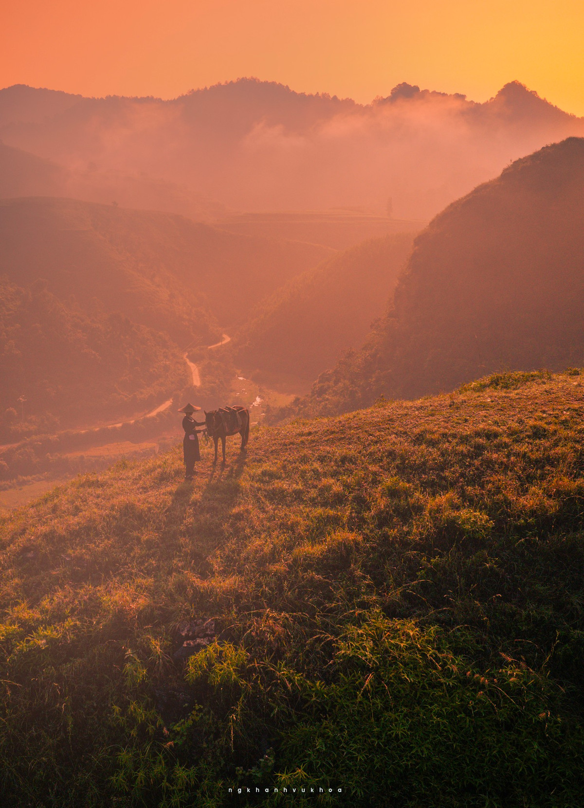 Đến trưa, nắng trải vàng trên từng sườn đồi, làm nổi bật màu nâu đỏ đặc trưng của cỏ cháy – thứ sắc màu vừa mộc mạc, vừa quyến rũ đến lạ. Ảnh Nguyễn Khánh Vũ Khoa