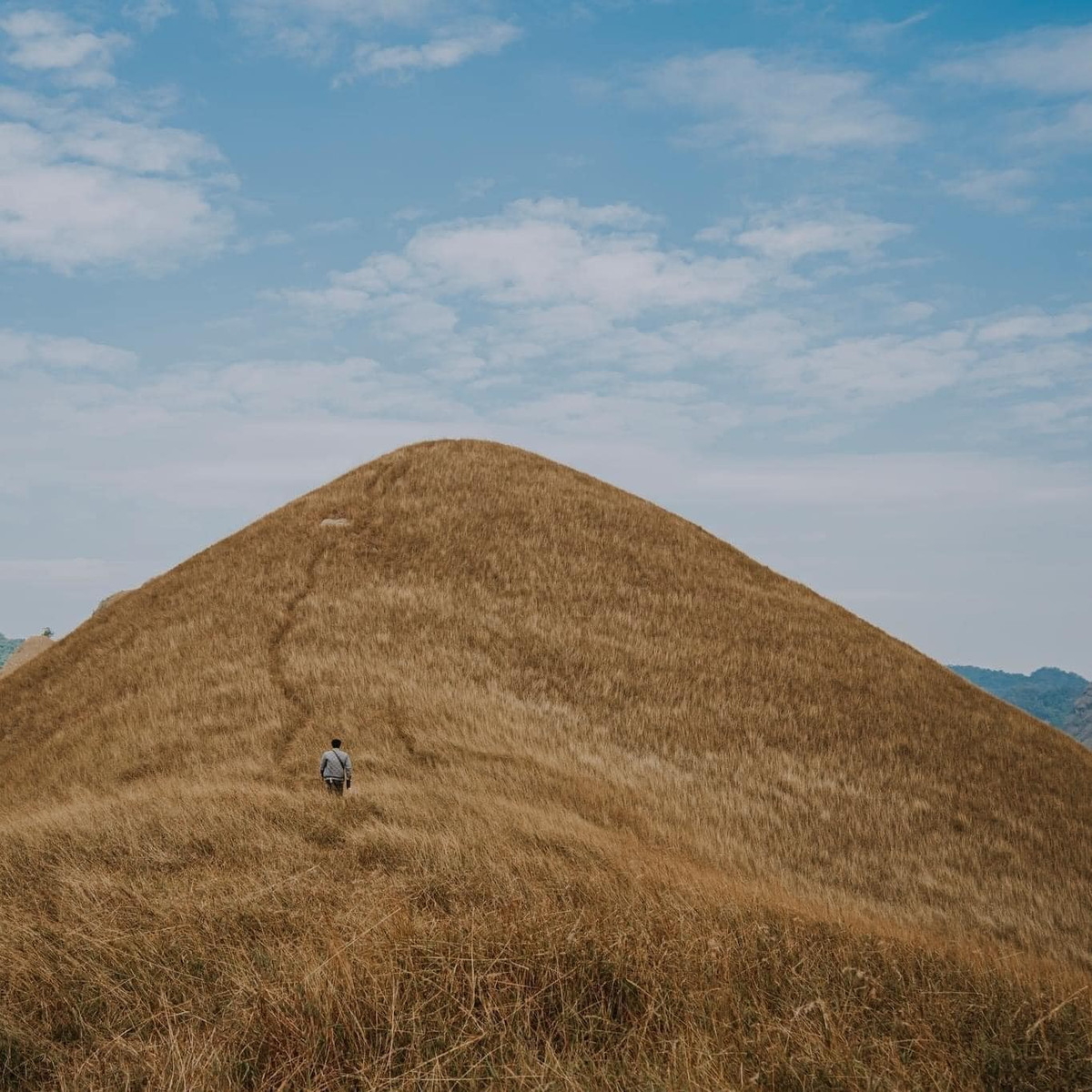 Nếu du khách đang tìm một nơi để “trốn phố” và tận hưởng vẻ đẹp nguyên sơ của thiên nhiên, Hạ Lang vào thu chính là lựa chọn đáng cân nhắc. Giữa núi rừng biên viễn, trong sắc vàng nâu của cỏ cháy, du khách như được thả hồn theo gió, để lại sau lưng mọi ồn ào, chỉ còn lại bình yên và một khung trời thơ mộng khó quên. Ảnh Minh Heo