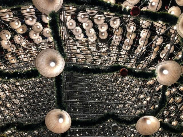 Ngoài việc chiêm ngưỡng, check-in, nhiều người còn lựa chọn đây là nơi cùng gia đình thưởng thức không khí Noel, trò chuyện, thư giãn sau những ngày làm việc căng thẳng. Ảnh TTXVN