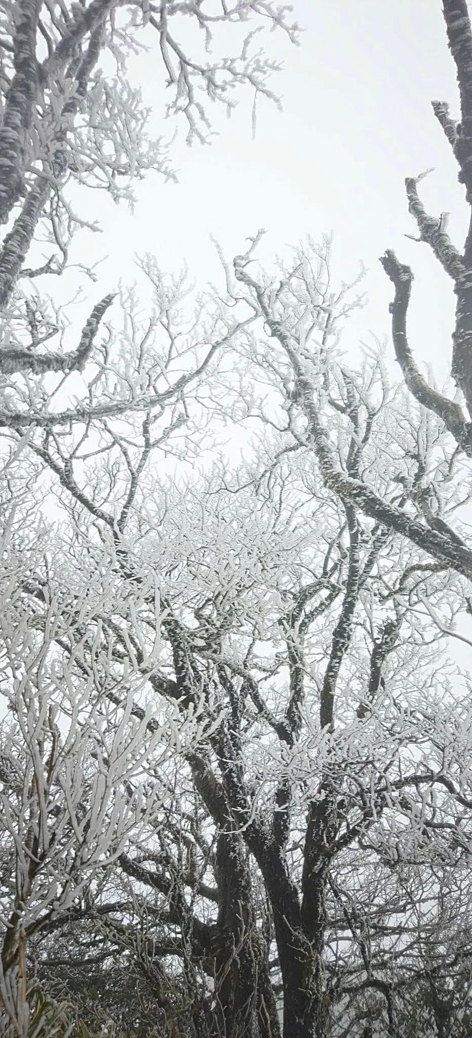 Không chỉ mang giá trị về mặt khí tượng, Phia Oắc còn là điểm đến hấp dẫn với du khách yêu thiên nhiên, trekking và săn ảnh. Ảnh Hoa Hà