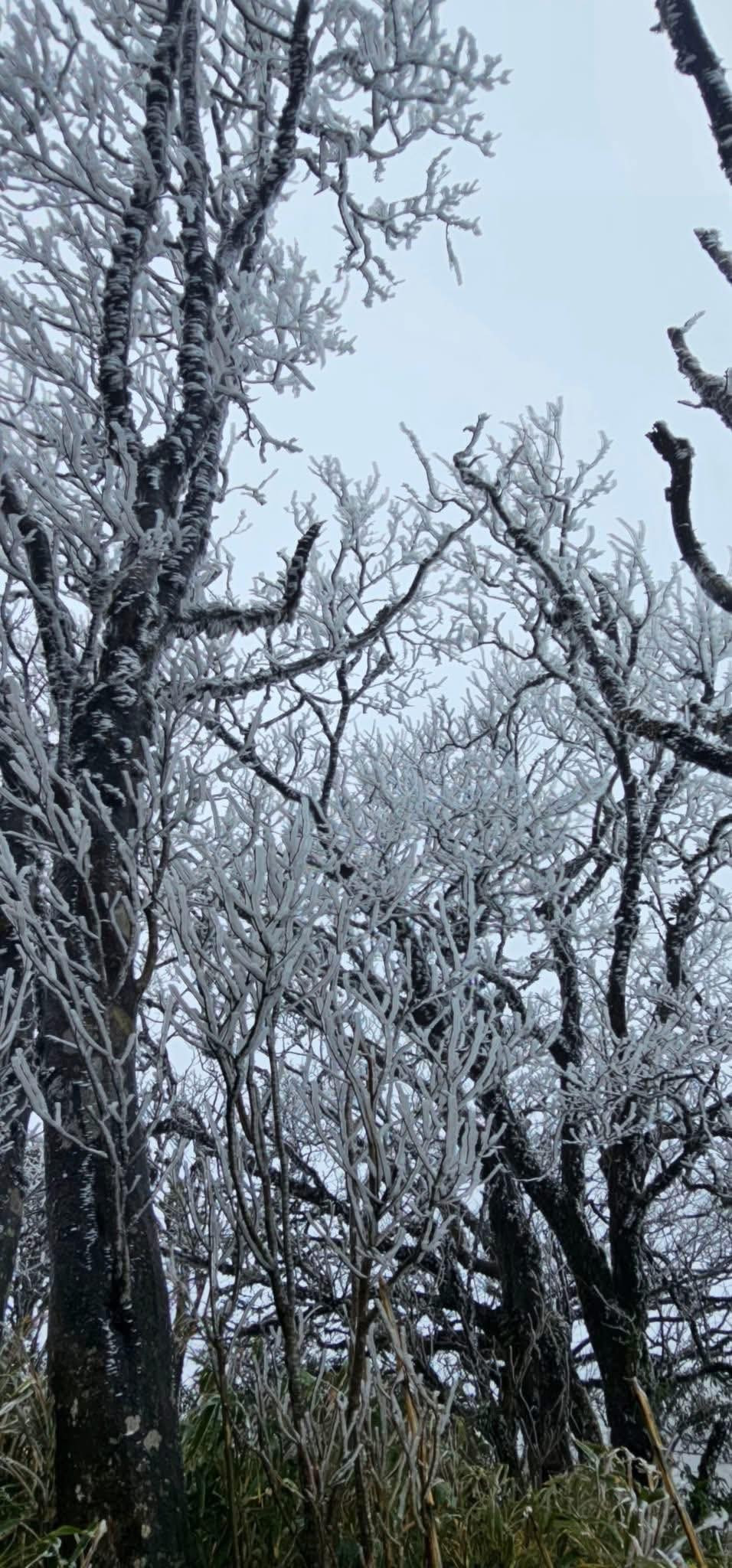 Vào mùa đông, khi băng giá xuất hiện, cảnh sắc nơi đây càng trở nên khác biệt so với phần lớn các điểm du lịch miền núi phía Bắc, tạo sức hút đặc biệt với giới trẻ và nhiếp ảnh gia. Ảnh Hoa Hà