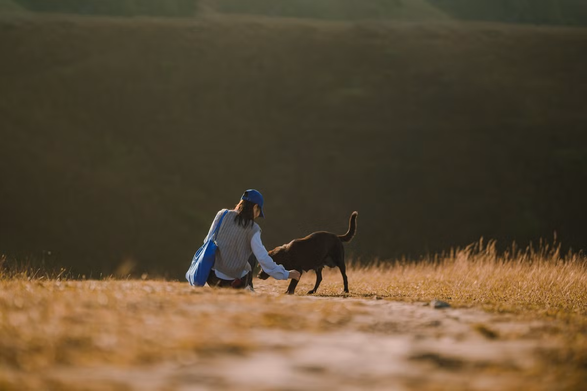 Du lịch Cao Bằng mùa đông không hướng tới sự náo nhiệt mà thiên về cảm giác chậm rãi. Đó là những bước chân thong thả qua bản làng người Tày, Nùng, ngắm khói bếp chiều đông và thưởng thức các món ăn nóng như lạp xưởng hun khói, thịt treo gác bếp, bánh khảo trong tiết trời lạnh. Giữa không gian tĩnh lặng của núi rừng, những trải nghiệm đời thường ấy lại trở nên đáng nhớ.