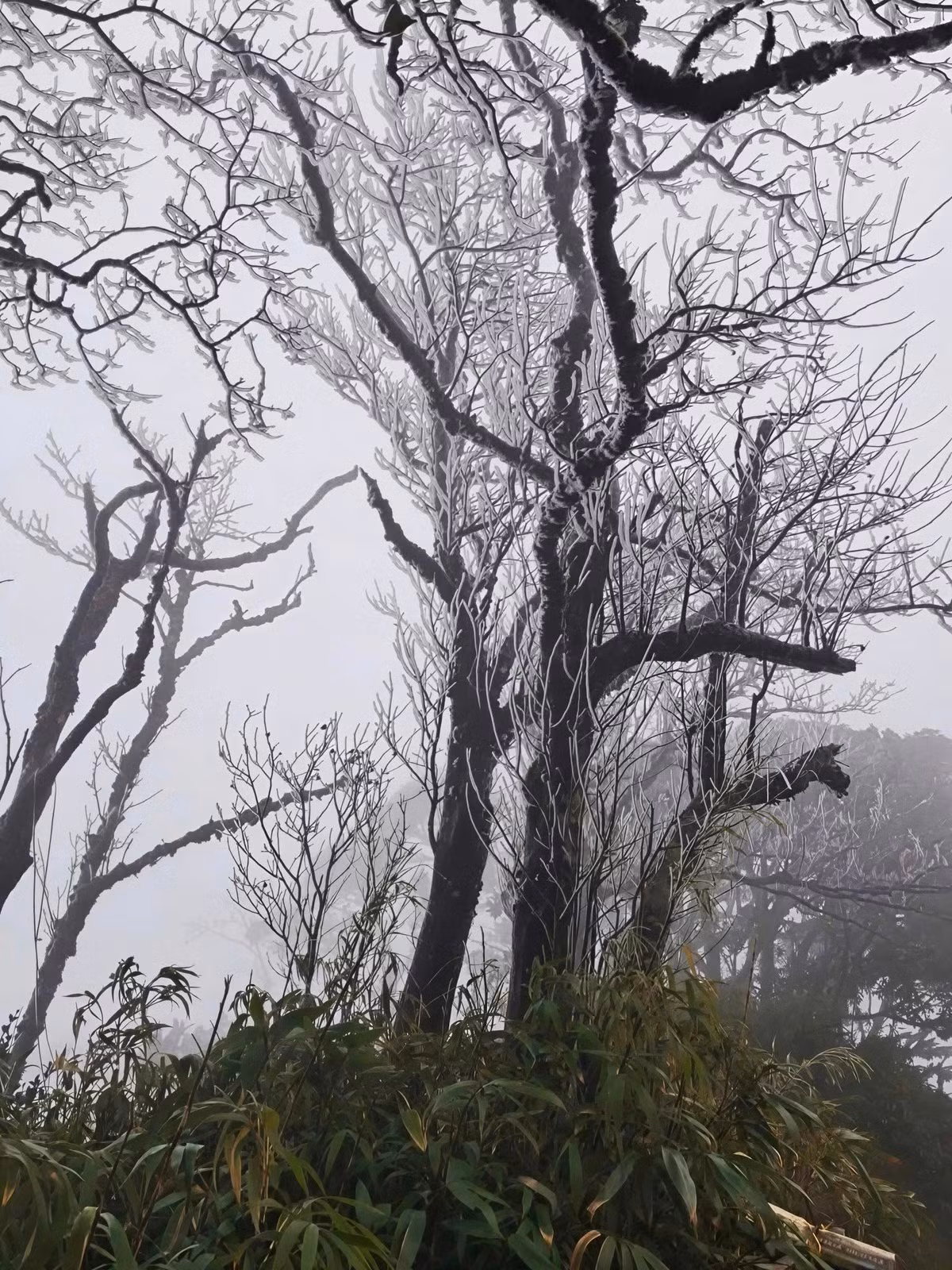 Khu vực này có khí hậu đặc biệt, mùa đông thường xuyên ghi nhận rét đậm, rét hại, là một trong số ít địa điểm ở miền Bắc có khả năng xuất hiện băng giá, thậm chí băng tuyết trong những đợt không khí lạnh mạnh. Ảnh Hoa Hà