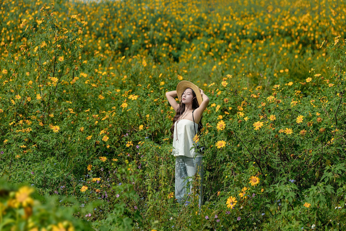 Bước vào bên trong khu vực đường bay cũ, những khóm hoa dọc hai bên đường càng khiến không gian trở nên thơ mộng, như lạc vào xứ sở thiên đường mùa thu. Ảnh Hoàng Cao Khánh
