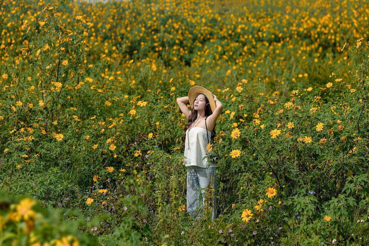 Bước vào bên trong khu vực đường bay cũ, những khóm hoa dọc hai bên đường càng khiến không gian trở nên thơ mộng, như lạc vào xứ sở thiên đường mùa thu. Ảnh Hoàng Cao Khánh