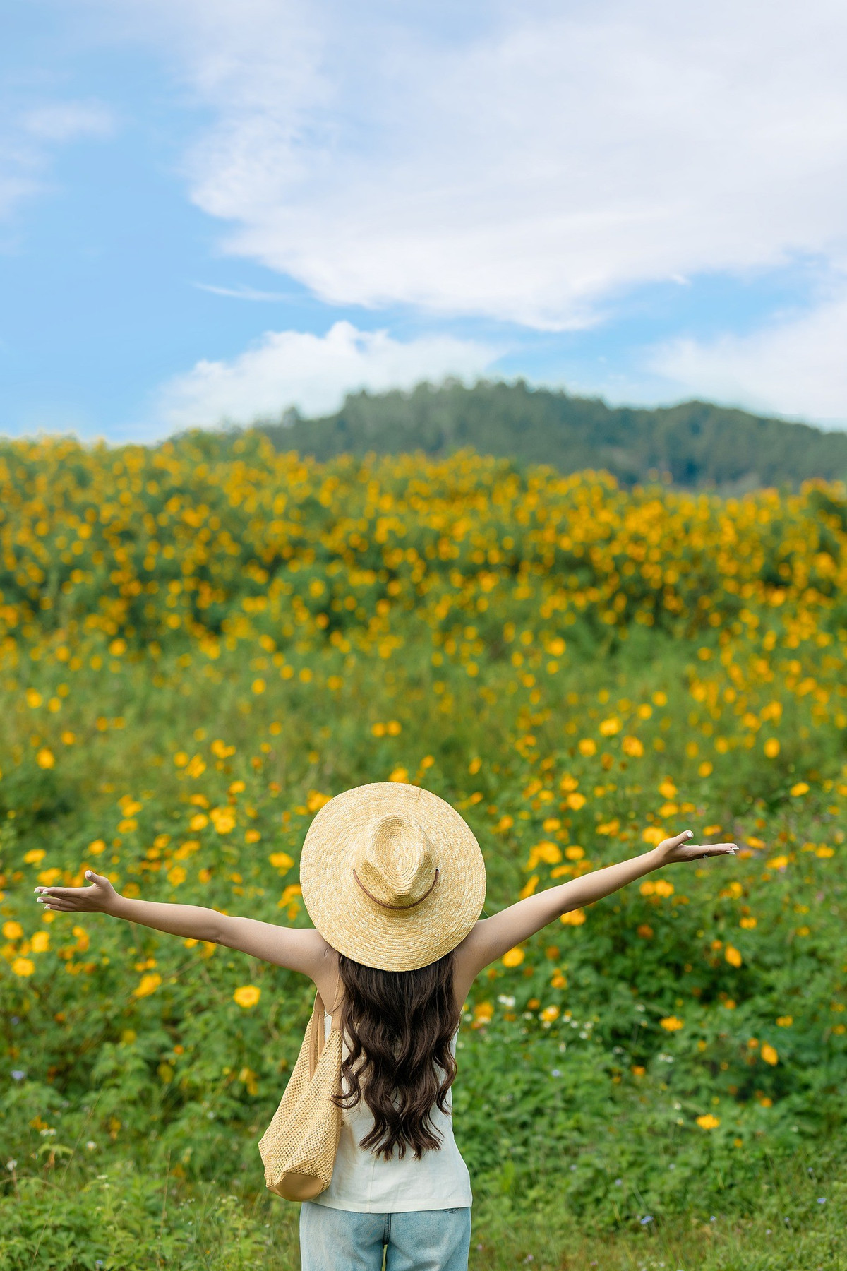 Ngay từ cổng vào, du khách đã bắt gặp đoạn đường ngắn nhưng hoa mọc dày đặc, cao vút, hai bên đường tạo thành bức tường vàng rực rỡ, lý tưởng để chụp ảnh và dạo bộ. Ảnh Hoàng Cao Khánh