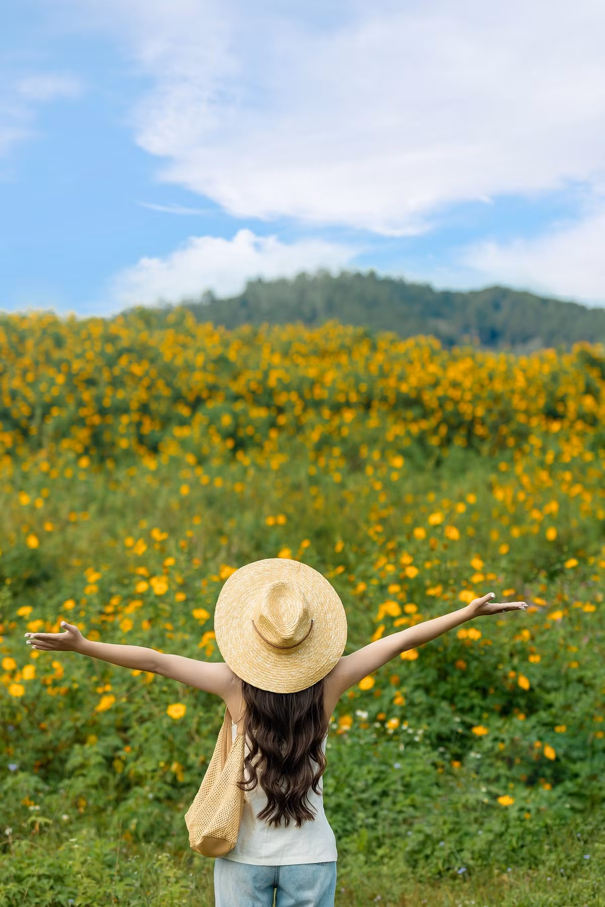 Ngay từ cổng vào, du khách đã bắt gặp đoạn đường ngắn nhưng hoa mọc dày đặc, cao vút, hai bên đường tạo thành bức tường vàng rực rỡ, lý tưởng để chụp ảnh và dạo bộ. Ảnh Hoàng Cao Khánh