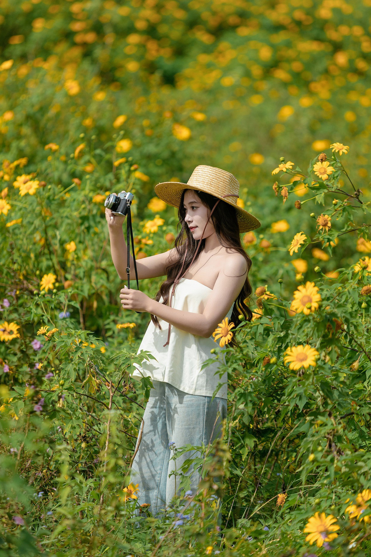 Buổi sáng hoặc xế chiều là thời điểm lý tưởng để đi dạo, khi ánh nắng chiếu xiên qua cánh hoa vàng cam, tạo hiệu ứng ánh sáng mềm mại, làm nổi bật mọi khóm hoa. Ảnh Hoàng Cao Khánh