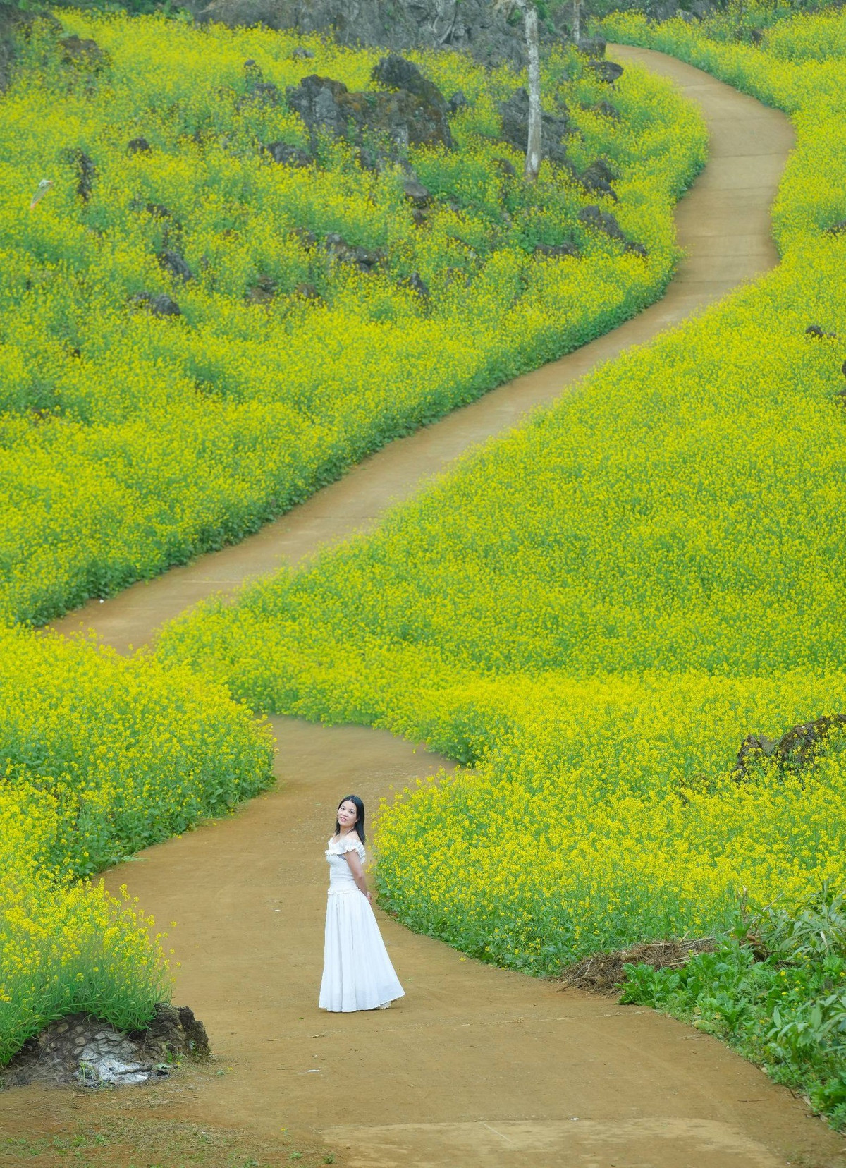 Không chỉ là điểm check-in lý tưởng, Suối Giàng mùa hoa cải còn mang đến cảm giác bình yên hiếm có. Ảnh Vua Ăn Mày