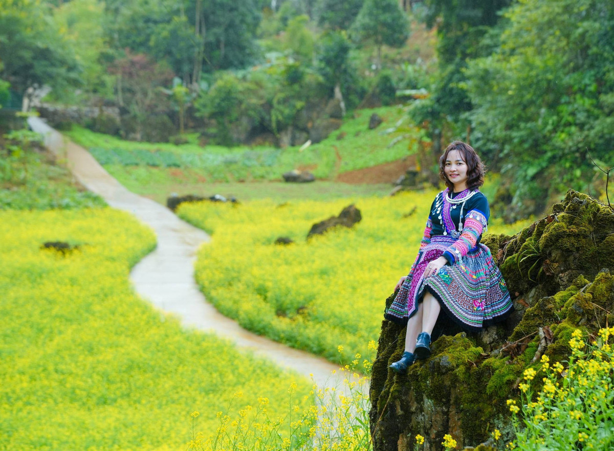 Khi nắng lên, cả sườn núi như bừng sáng, biến thành “biển vàng” óng ả giữa đại ngàn xanh thẳm. Chính sự tương phản ấy đã làm nên sức hút riêng cho mùa xuân nơi đây. Ảnh Vua Ăn Mày