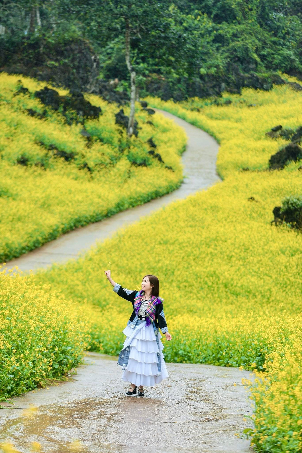 Con người và thiên nhiên hòa quyện, tạo nên bức tranh xuân đầy chất thơ. Ảnh FB Minh Photo YB