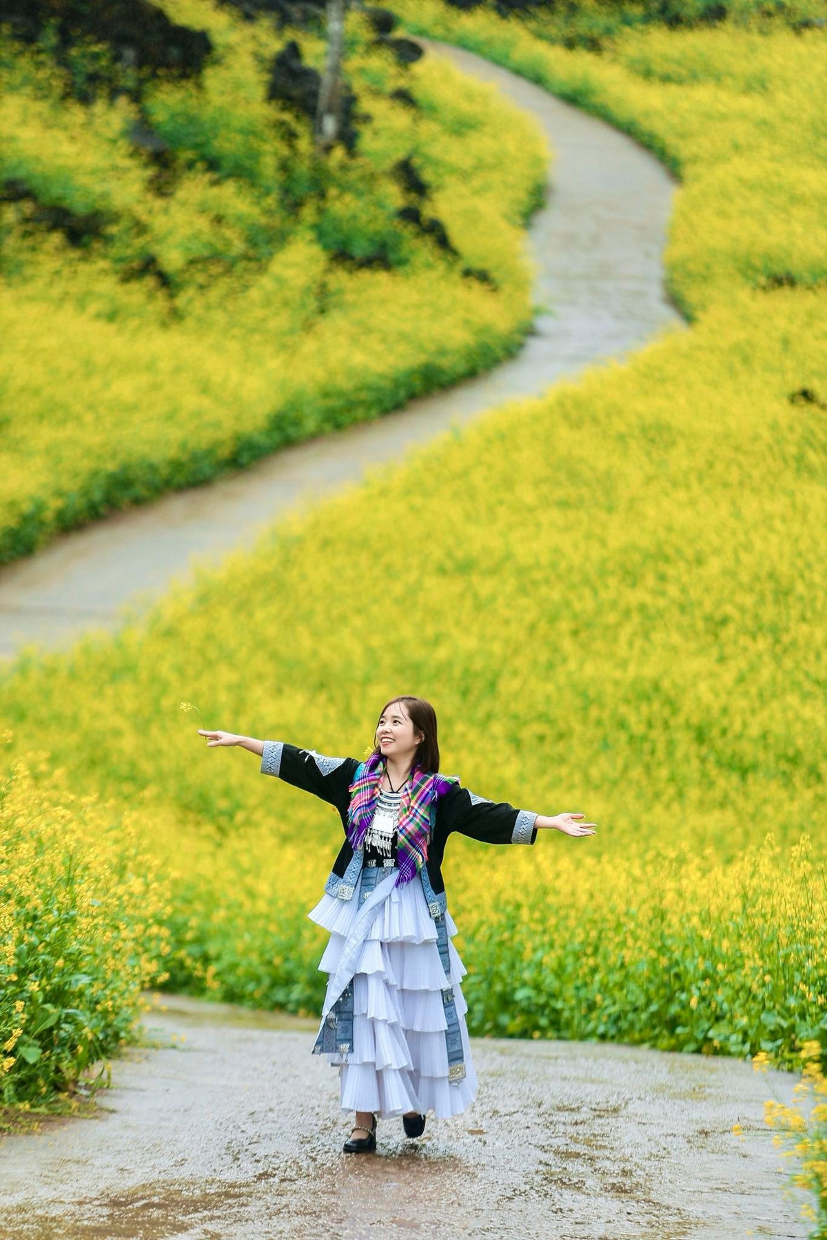 Mùa hoa cải ở Suối Giàng thường kéo dài đến hết tháng 2, trùng với thời điểm du xuân đầu năm. Ảnh FB Minh Photo YB