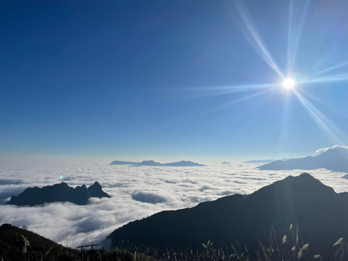 Penduduk tempatan mengatakan masa terbaik untuk 