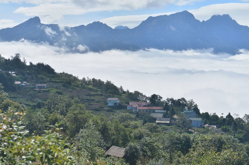 Hari-hari ini, lautan awan putih bergulung seperti ombak perak, memeluk lereng gunung dan menutupi lembah, mencipta pemandangan yang indah. Foto oleh An Vi