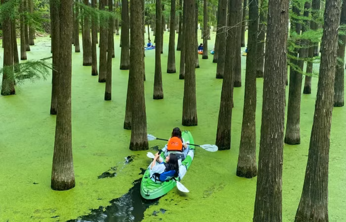 Nếu không chèo thuyền, du khách có thể đi bộ hoặc đạp xe trên con đường lát đá bao quanh hồ, ngắm cảnh, hít thở không khí trong lành và tận hưởng ánh sáng đẹp nhất vào sáng sớm hoặc chiều muộn. Ảnh Otrip