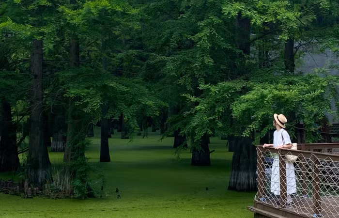 Không gian yên bình, hoang sơ khiến nơi đây trở thành điểm check-in lý tưởng cho giới trẻ và những ai yêu thiên nhiên. Ảnh Otrip