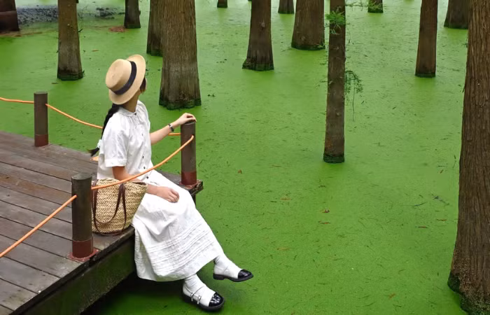 Với màu nước đặc trưng, hồ Thanh Sơn là thiên đường sống ảo. Ảnh Otrip