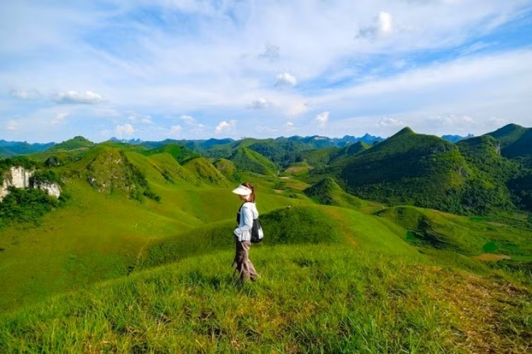 Nằm giữa vùng biên viễn hoang sơ, đồi cỏ Vinh Quý tựa như một thảo nguyên thu nhỏ với không gian rộng mở, thoáng đãng và phủ kín những triền cỏ xanh rì. Vào độ thu sang, cả quả đồi như được nhuộm màu tươi mát, mềm mại dưới ánh nắng vàng dịu, tạo nên khung cảnh khiến người ta chẳng nỡ rời mắt. Ảnh dulich