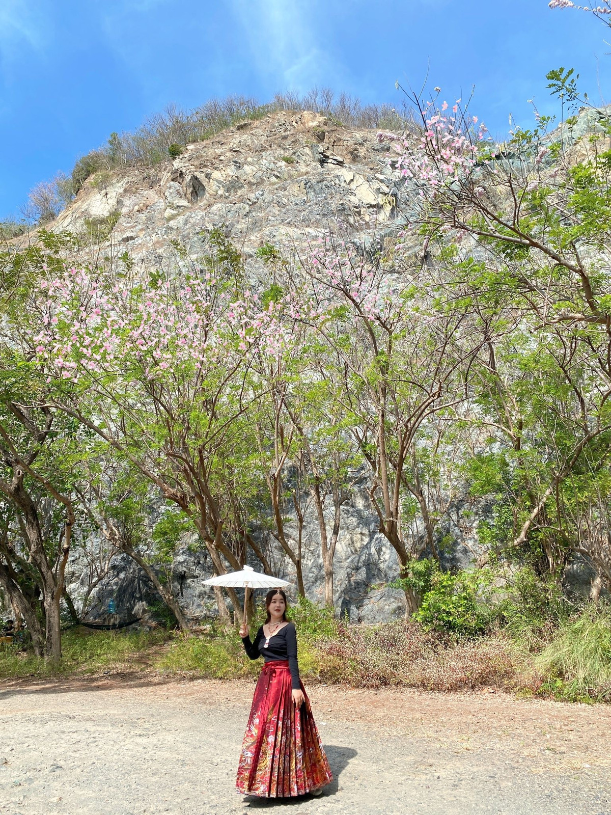 Giữa những điểm đến quen thuộc của phường Vũng Tàu như biển, hải đăng hay các quán cà phê ven đồi, mùa hoa đỗ mai mang đến một sắc thái khác – dịu dàng, chậm rãi và rất riêng. Với nhiều người, đây không chỉ là chuyến du xuân ngắn ngày mà còn là dịp để tận hưởng khoảnh khắc giao mùa, khi thiên nhiên bất ngờ khoe sắc theo cách tinh tế nhất. Ảnh Hà Mơ