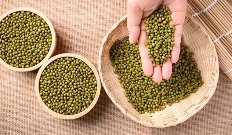 Theo các nghiên cứu dinh dưỡng, trong 100 gram đậu xanh chứa khoảng 31 calo, cung cấp 7 gram carbohydrate, 2,7 gram chất xơ, 1,8 gram protein, cùng một lượng nhỏ chất béo, vitamin và các khoáng chất thiết yếu như sắt, canxi. Ngoài ra, đậu xanh còn giàu các axit amin quan trọng như phenylalanine, leucine, valine, lysine và nhiều hợp chất chống oxy hóa tự nhiên như axit phenolic, flavonoid, giúp bảo vệ tế bào khỏi tác hại của các gốc tự do. Ảnh minh họa