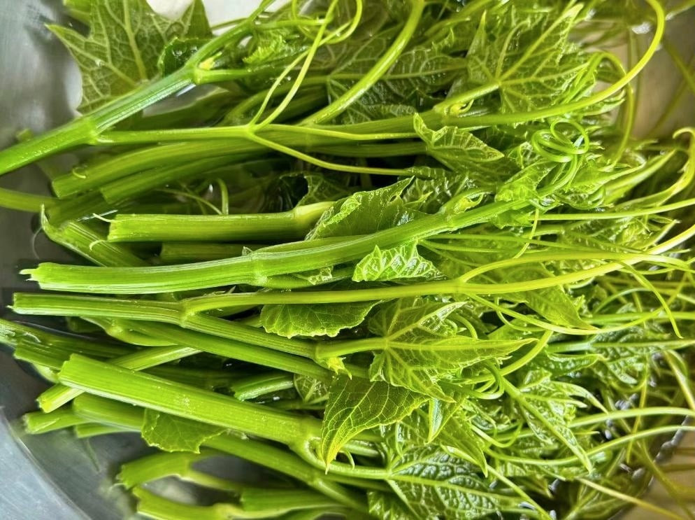 Ngoài tác dụng giải nhiệt, ngọn su su còn giàu dưỡng chất. Hàm lượng vitamin A cao giúp cải thiện thị lực, bảo vệ mắt, rất tốt cho trẻ em và người cao tuổi. Ảnh minh họa