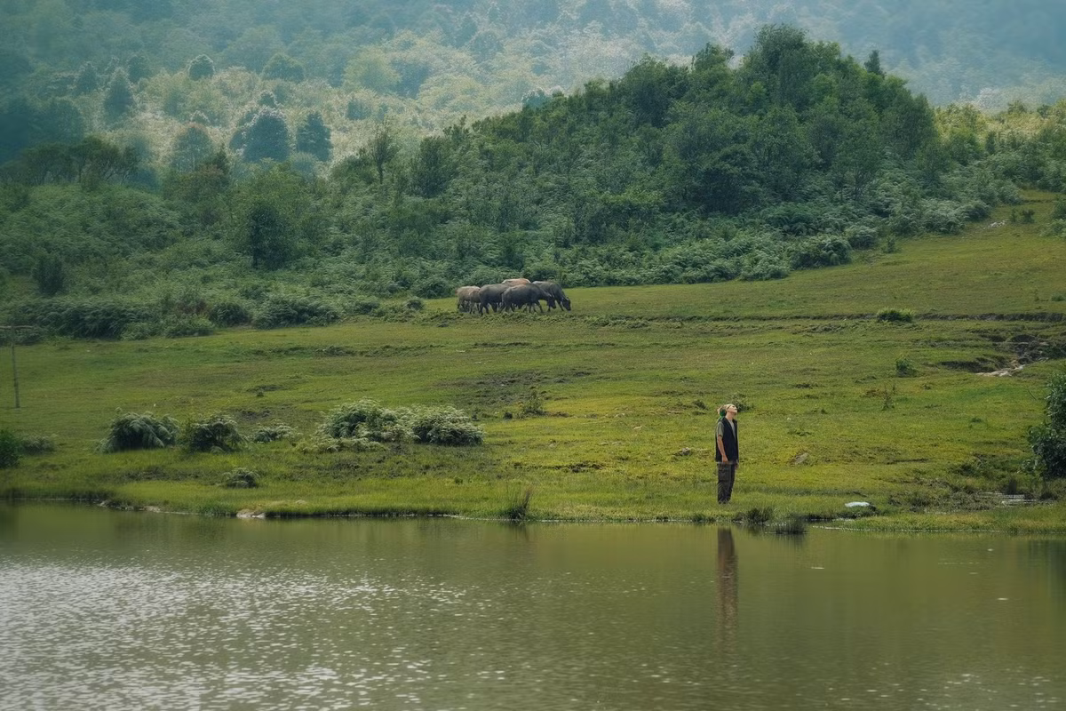 Đi trekking Y Tý là hành trình nối dài qua các bản làng như Lao Chải, A Lù, Dền Sáng… Mỗi bản một nét riêng, nhưng đều mang vẻ yên bình và mộc mạc. Ảnh Phạm Quang Tuyên