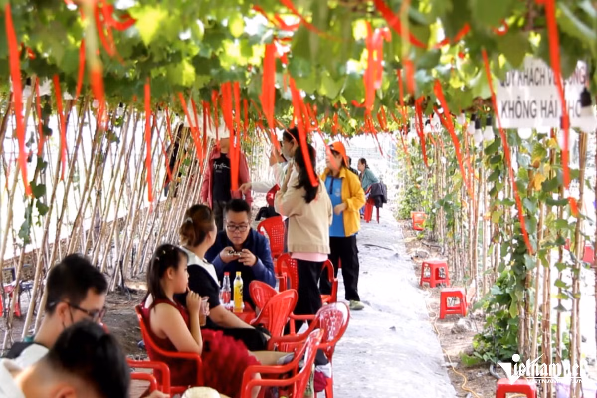 Dù chỉ mới mở cửa vài ngày, lượng khách đến tham quan đã vượt ngoài mong đợi, có ngày cao điểm lên đến cả nghìn lượt khách. Ảnh Báo Vietnamnet