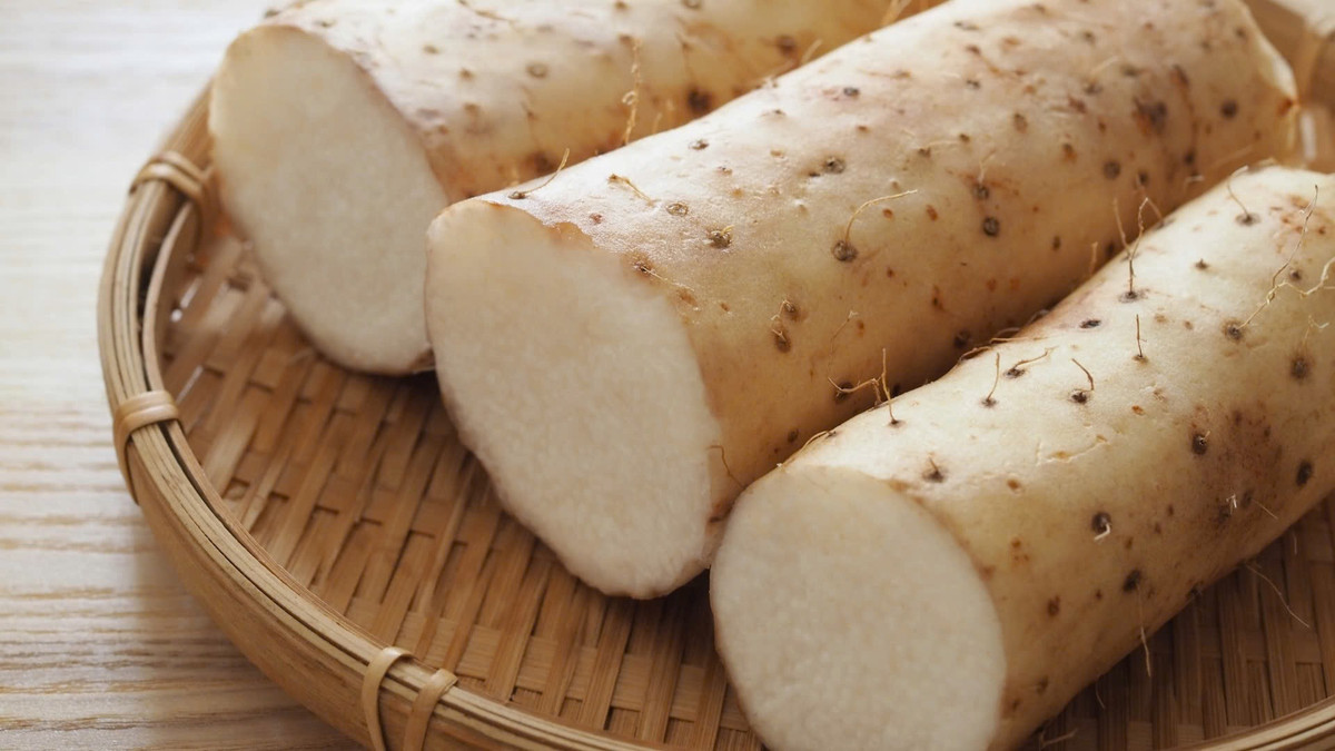 Đặc biệt, khoai từ còn có khả năng giải độc cơ thể, giúp cơ thể thanh lọc và phục hồi tốt hơn. Bên cạnh tác dụng chữa bệnh, khoai từ còn là nguyên liệu đa năng trong ẩm thực: có thể luộc, nướng, làm salad hay nấu canh, đều mang đến hương vị đặc trưng, dễ chịu. Ảnh minh họa