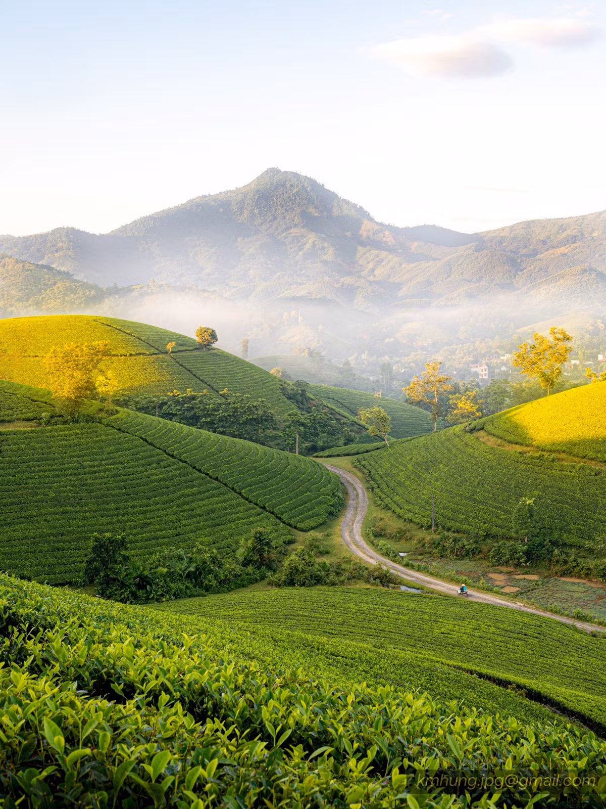 Hiện nay, các công ty lữ hành đã bắt đầu đưa Long Cốc vào các hành trình khám phá thiên nhiên dành cho du khách yêu thích du lịch gần gũi và thiên nhiên hoang sơ. Các tour đi Long Cốc, như tour 2 ngày 1 đêm của Vietravel hay BestPrice, mang đến cho du khách cơ hội không chỉ được ngắm dải Ngân Hà và săn bình minh, mà còn tham gia vào các hoạt động thú vị như hái chè, thưởng trà hoặc tham quan bản làng người Mường xung quanh. Ảnh Kim Hưng