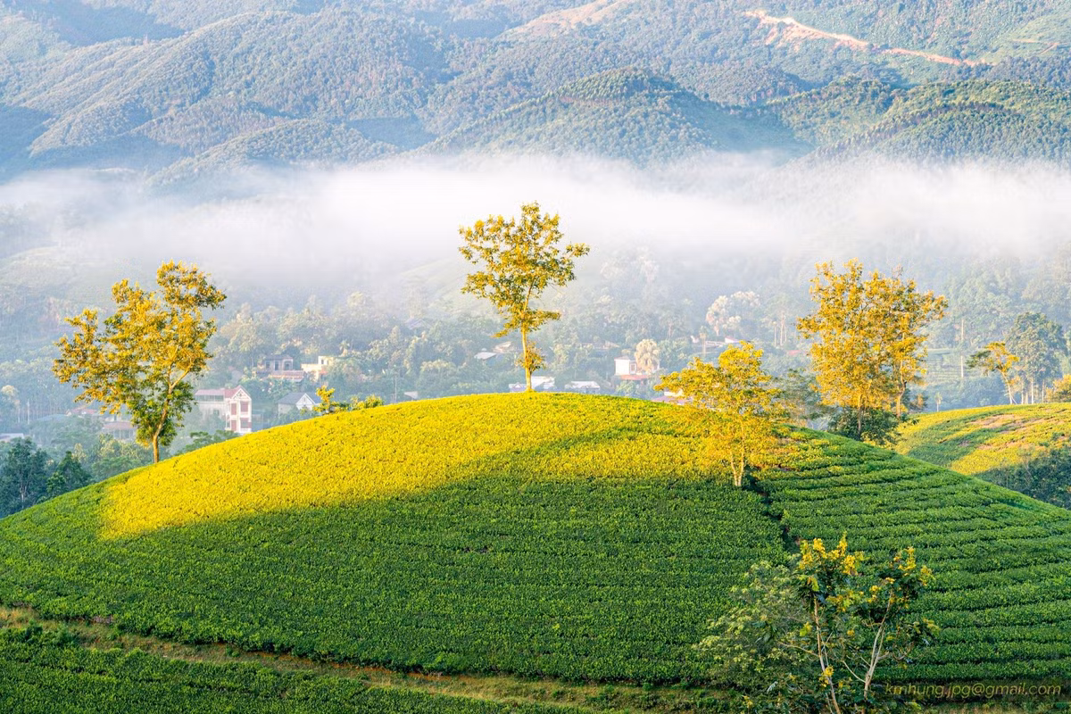 Chỉ cách Hà Nội khoảng 130 km, đồi chè Long Cốc (Phú Thọ) đã trở thành một điểm đến hấp dẫn không chỉ đối với những người yêu thiên nhiên mà còn là chốn tìm về bình yên giữa những ngày bận rộn. Một trong những trải nghiệm đặc biệt mà nơi đây mang lại chính là "săn" dải Ngân Hà vào ban đêm và ngắm bình minh trong sương mù vào sáng sớm, tạo nên một hành trình vừa huyền bí, vừa thơ mộng. Ảnh Kim Hưng